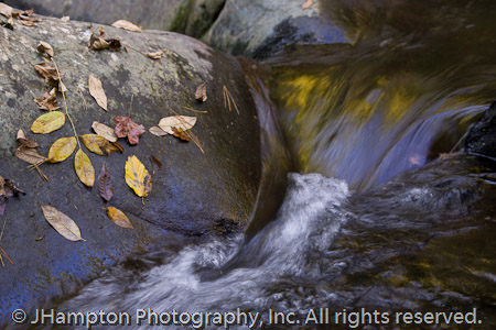 Waterrock Reflection