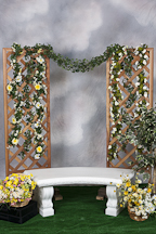 backdrop